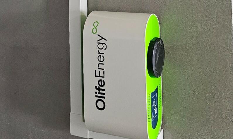 Reference: Fotovoltaická elektrárna s dobíjecí stanici pro elektromobil - Zlonín