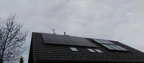 Reference Solární elektrárna s dotaci na klíč montovaná v Čechovicích 
